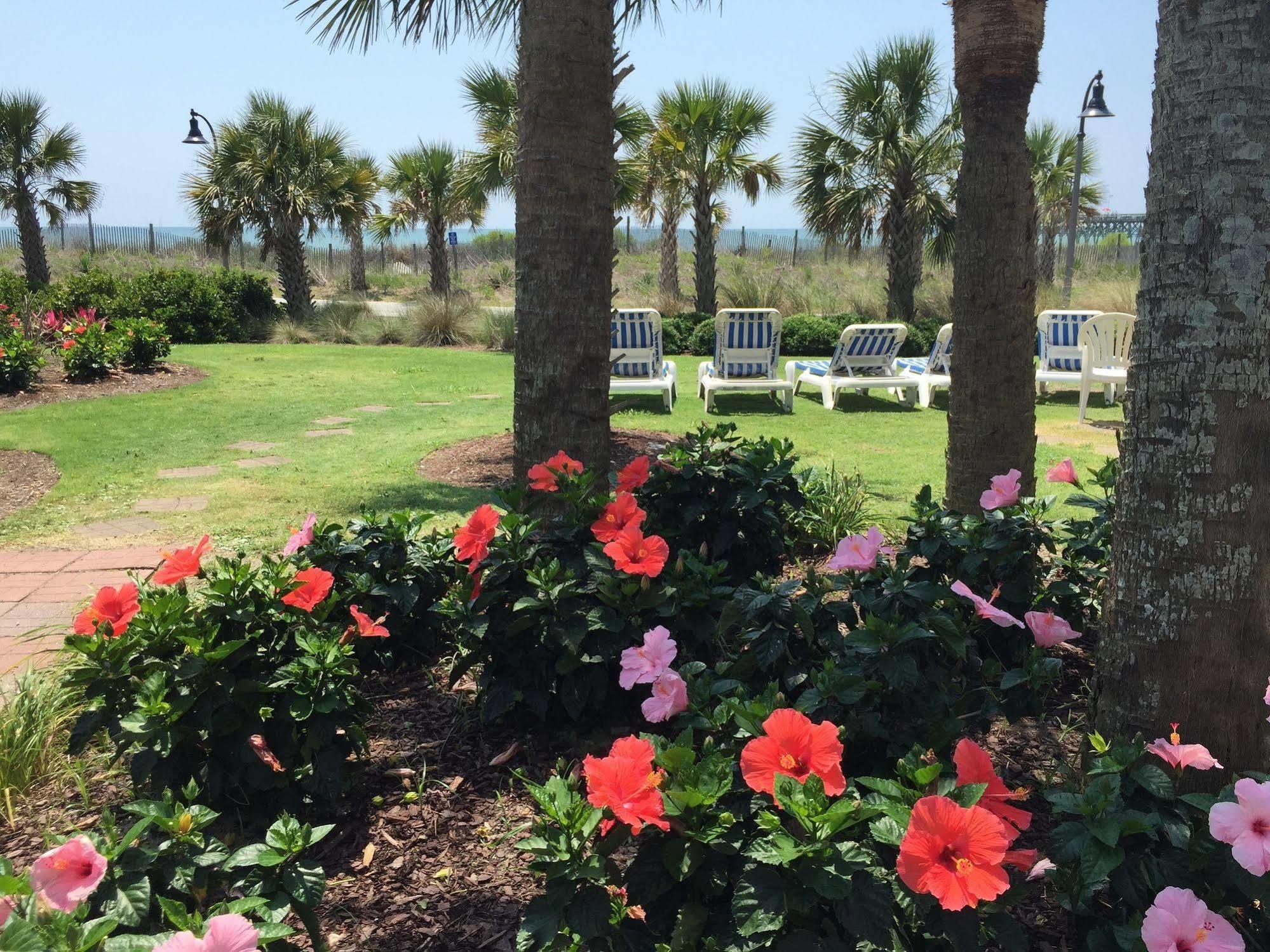 Windsurfer Hotel Myrtle Beach Zewnętrze zdjęcie
